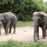 キッチンリフォームしたい…旭区でお勧めの業者を3社ご紹介