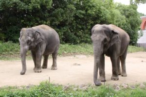 キッチンリフォームしたい…旭区でお勧めの業者を3社ご紹介